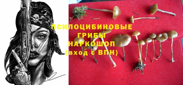 PSILOCYBIN Баксан